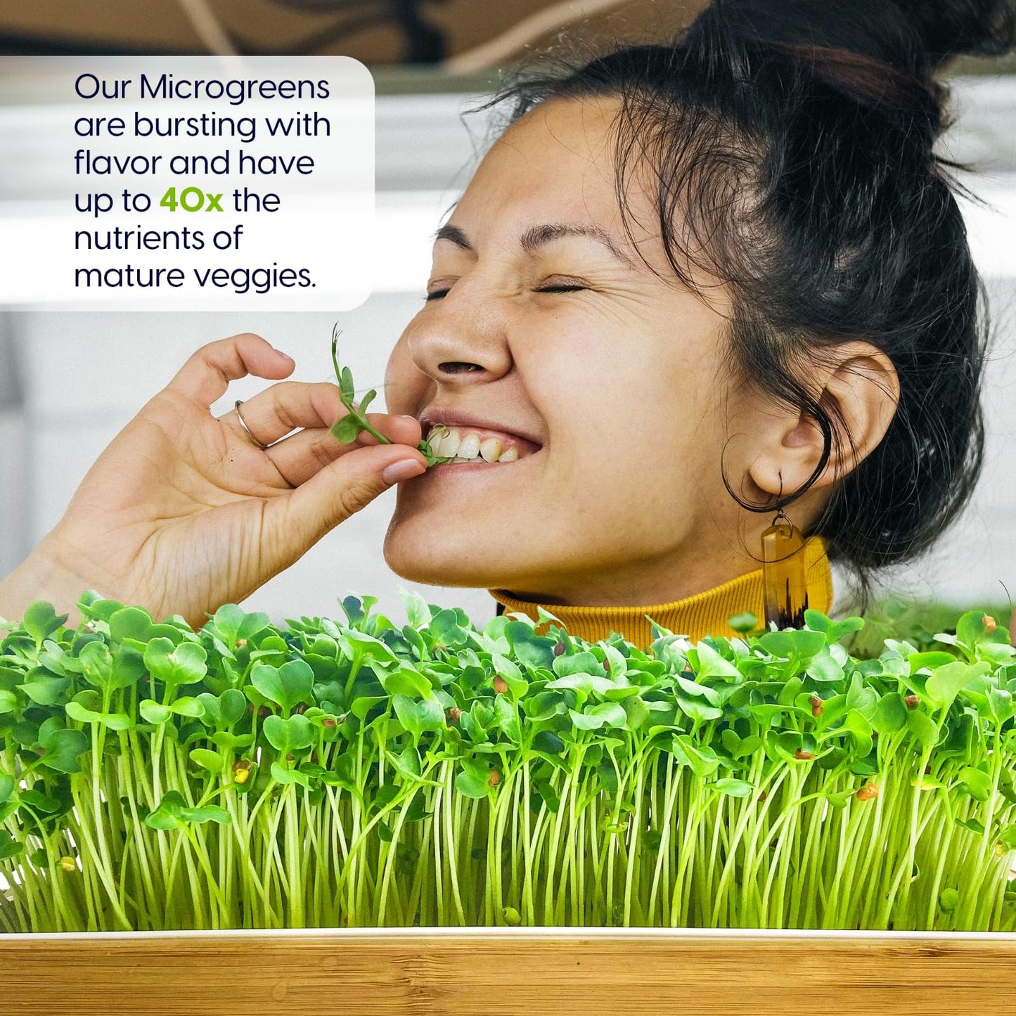 Self Watering Microgreens Growing Kit. Hands Down the Easiest Way to Grow Microgreens. Includes Microgreens Tray, Seeds, Mats, and Bamboo Surround. No Soil Needed. Easy Setup. (Salad & Broccoli)