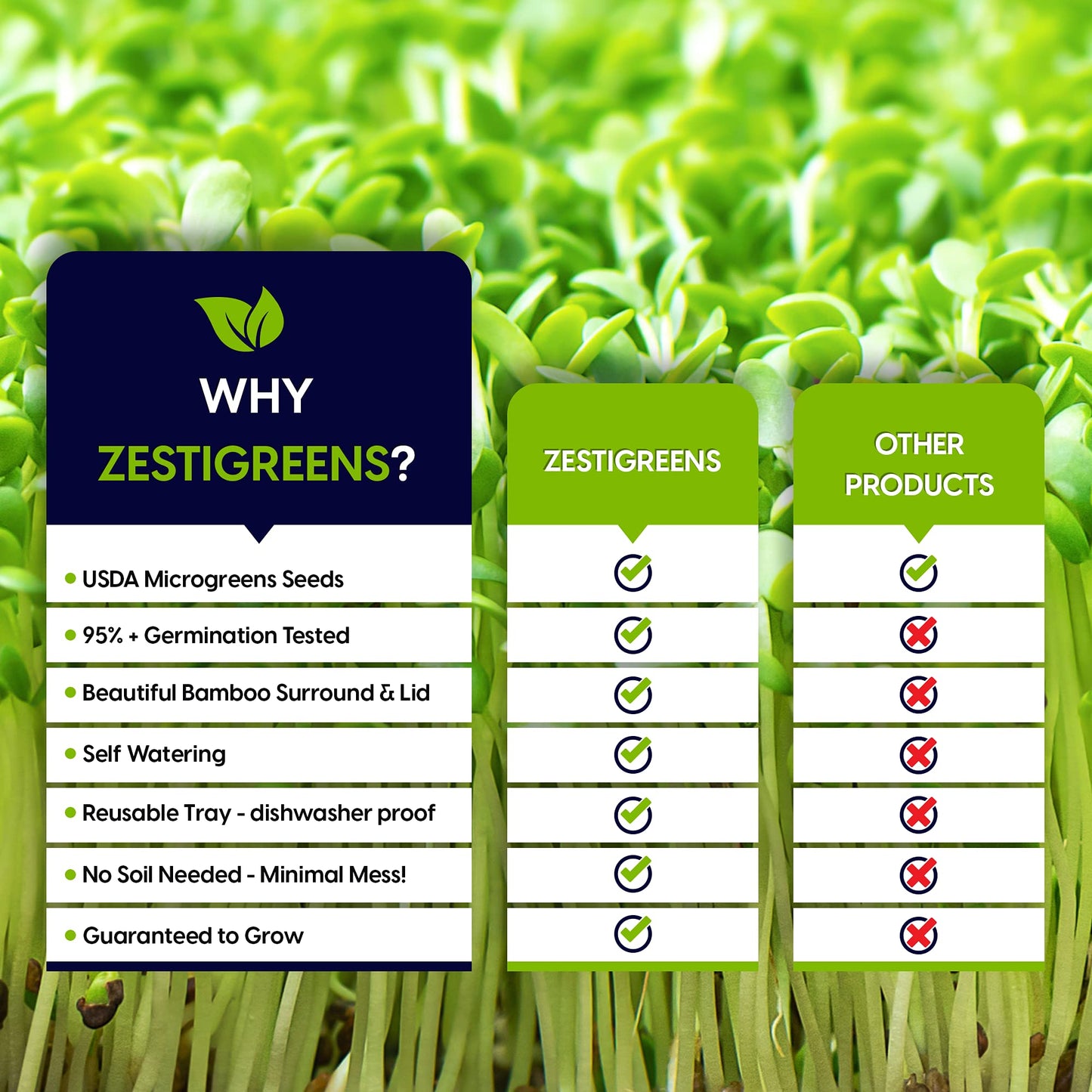 Self Watering Microgreens Growing Kit. Hands Down the Easiest Way to Grow Microgreens. Includes Microgreens Tray, Seeds, Mats, and Bamboo Surround. No Soil Needed. Easy Setup. (Salad & Broccoli)