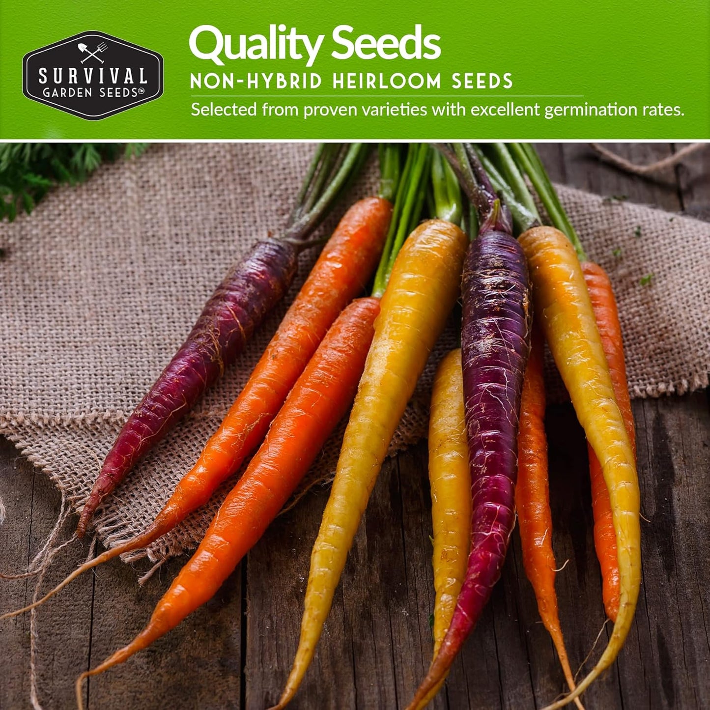 Fall Vegetable Seed Collection - 8 Packs of Non-GMO Heirloom Open-Pollinated Vegetables - Plant in Late Summer for Autumn Harvest - Seed Saver Instructions on Packets - Survival Garden Seeds