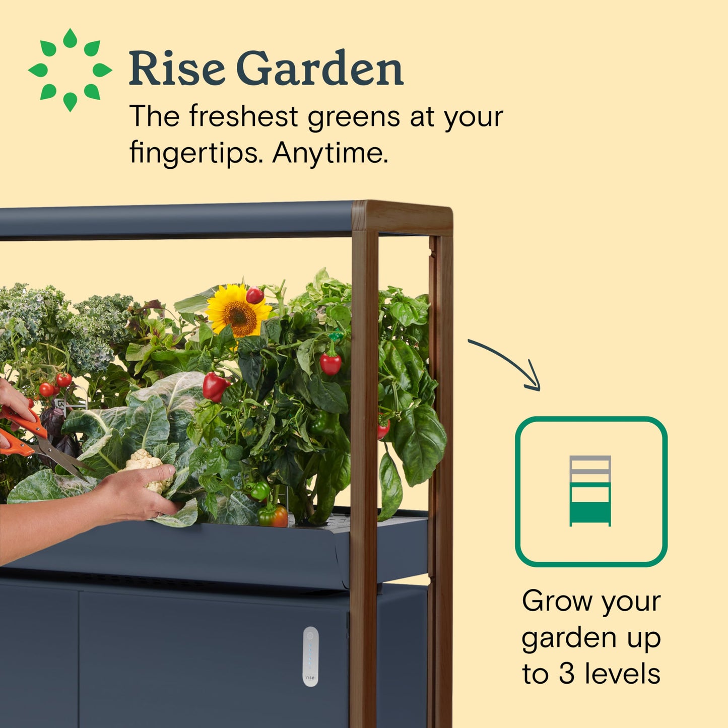 Rise Gardens 1 Level Garden | Hydroponics Growing System, Wi-Fi & App Controlled Indoor Garden with Growing Lights & Self-Watering System | Cloud