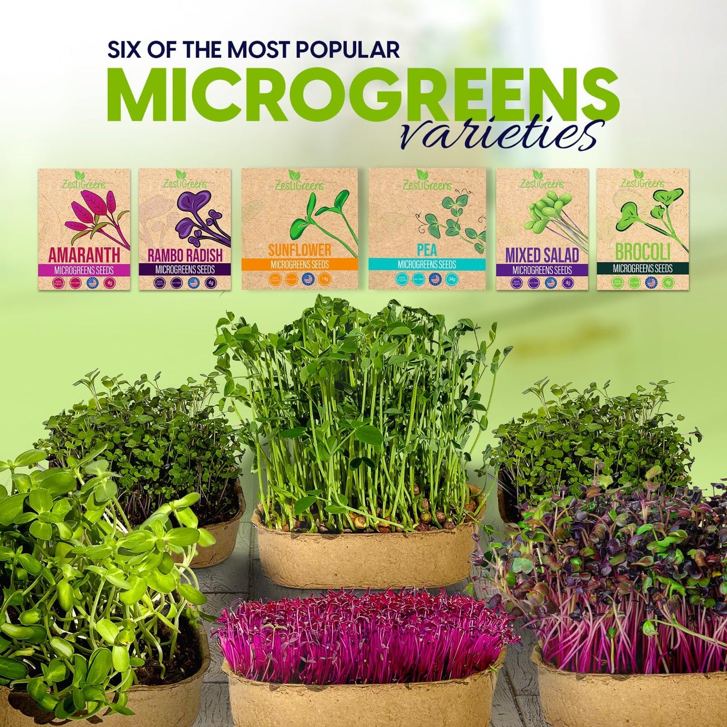 Microgreens Growing Kit with 6 of The Most Popular Seed Varieties. Christmas Gift Ideas for Gardeners