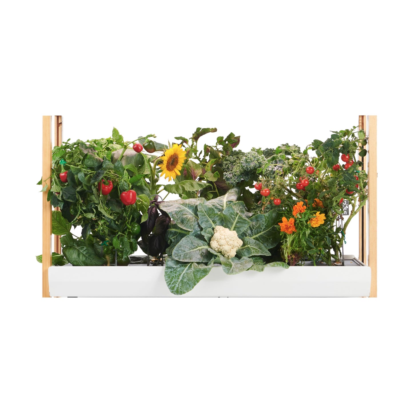 Rise Gardens The Rise Extension, Compatible with The Rise Garden Hydroponic Indoor Garden Kit, Cloud Color