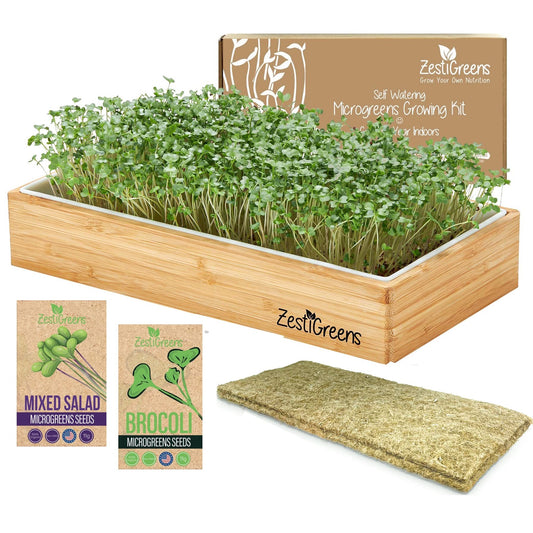 Self Watering Microgreens Growing Kit. Hands Down the Easiest Way to Grow Microgreens. Includes Microgreens Tray, Seeds, Mats, and Bamboo Surround. No Soil Needed. Easy Setup. (Salad & Broccoli)